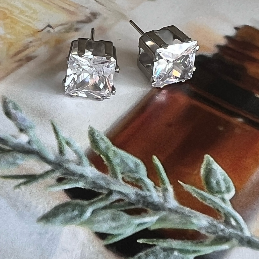 Elegant Silver Stud Earrings